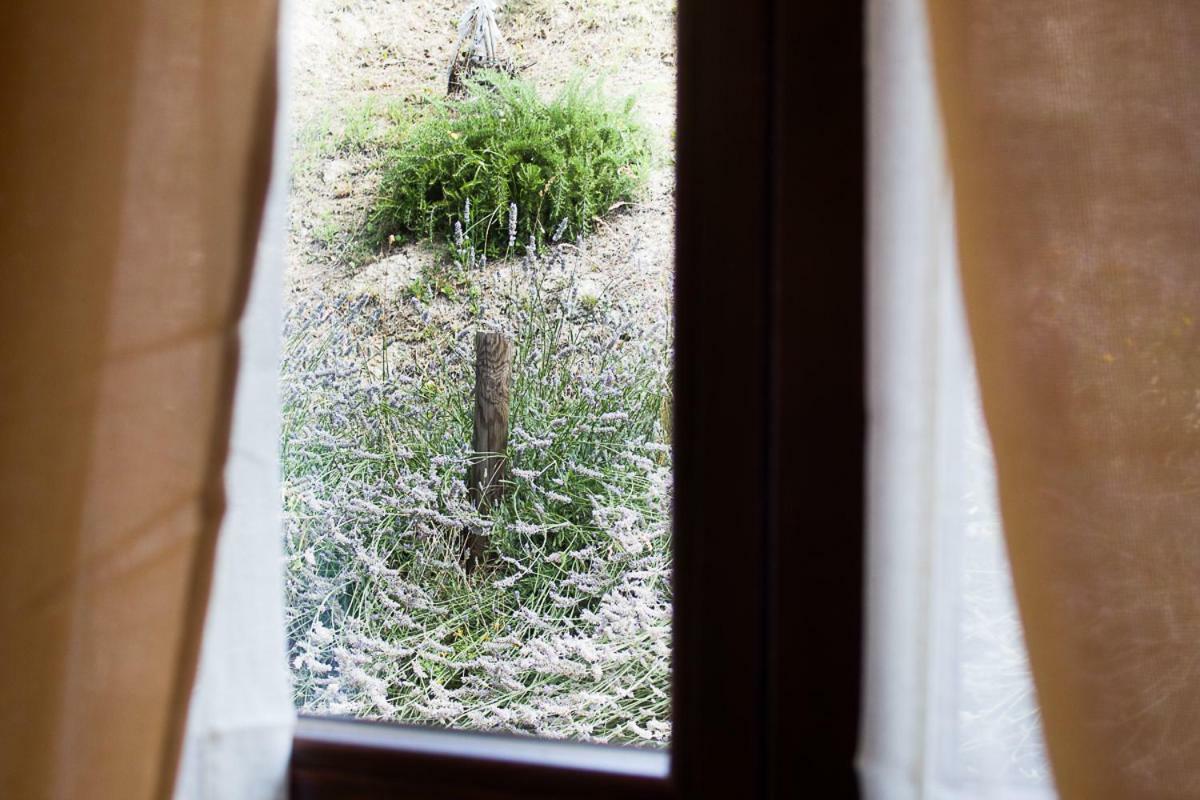 Agriturismo La Ca Veja 몬포르테달바 외부 사진