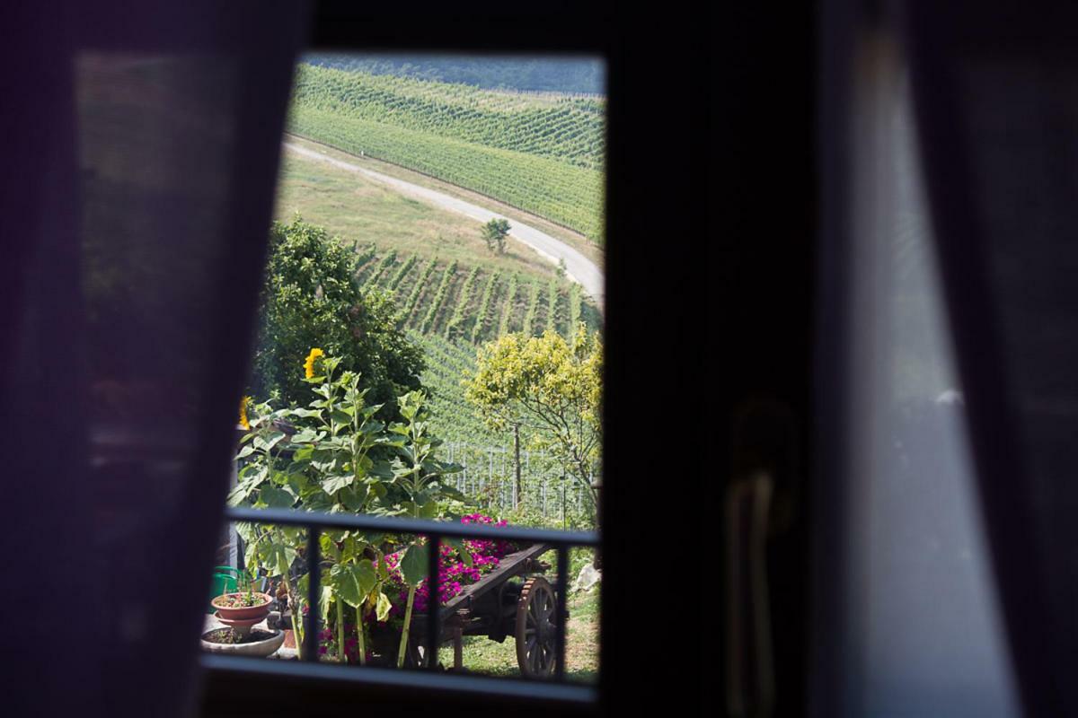 Agriturismo La Ca Veja 몬포르테달바 외부 사진